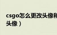 csgo怎么更改头像和名称（CS:GO怎么更改头像）
