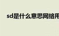 sd是什么意思网络用语（sd是什么意思）