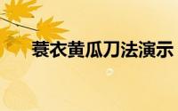 蓑衣黄瓜刀法演示（蓑衣黄瓜的做法）