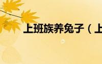 上班族养兔子（上班族养兔子好吗）