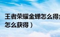 王者荣耀金蝉怎么得金蝉信物（王者荣耀金蝉怎么获得）