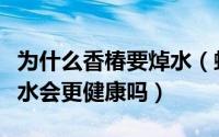 为什么香椿要焯水（蚂蚁庄制作香椿之前先焯水会更健康吗）
