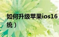 如何升级苹果ios16（如何升级苹果ios14系统）