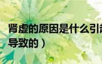 肾虚的原因是什么引起的（肾虚的原因是什么导致的）