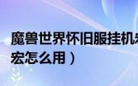 魔兽世界怀旧服挂机宏（魔兽世界怀旧服挂机宏怎么用）
