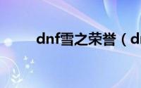 dnf雪之荣誉（dnf雪之荣耀解析）
