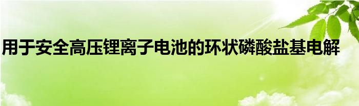 用于安全高压锂离子电池的环状磷酸盐基电解