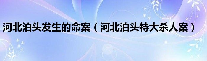 河北泊头发生的命案（河北泊头特大杀人案）