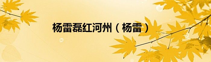 杨雷磊红河州（杨雷）