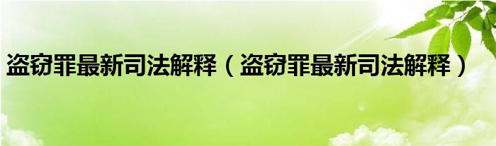盗窃罪最新司法解释（盗窃罪最新司法解释）