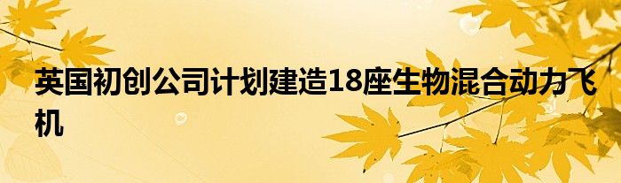 英国初创公司计划建造18座生物混合动力飞机
