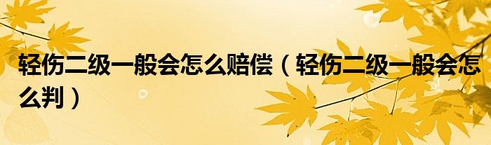 轻伤二级一般会怎么赔偿（轻伤二级一般会怎么判）