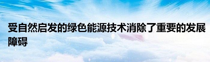 受自然启发的绿色能源技术消除了重要的发展障碍