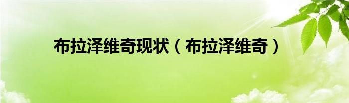 布拉泽维奇现状（布拉泽维奇）