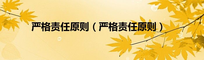 严格责任原则（严格责任原则）