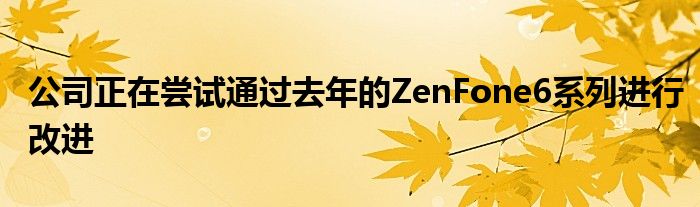 公司正在尝试通过去年的ZenFone6系列进行改进