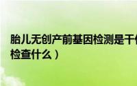 胎儿无创产前基因检测是干什么的（无创产前基因检测主要检查什么）