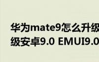 华为mate9怎么升级emui9（华为Mate9升级安卓9.0 EMUI9.0步骤）