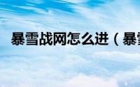 暴雪战网怎么进（暴雪战网怎么进行充值）