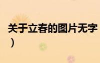关于立春的图片无字（关于立春的图片怎么画）