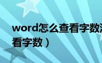 word怎么查看字数没有标点（word怎么查看字数）