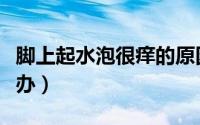 脚上起水泡很痒的原因（脚上起水泡很痒怎么办）