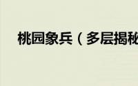 桃园象兵（多层揭秘《桃园》骑乘战斗）