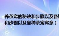 养茶宠的秘诀和步骤以及各种茶宠寓意图片（养茶宠的秘诀和步骤以及各种茶宠寓意）