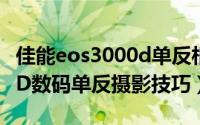 佳能eos3000d单反相机（Canon EOS 1300D数码单反摄影技巧）