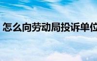 怎么向劳动局投诉单位（怎么向劳动局投诉）