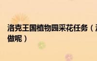 洛克王国植物园采花任务（洛克王国植物园回来了任务怎么做呢）