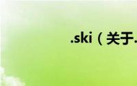 .ski（关于.ski的简介）