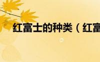 红富士的种类（红富士一般有哪些特征）