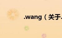 .wang（关于.wang的简介）
