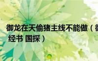御龙在天偷猪主线不能做（御龙在天偷猪任务怎么做 鸡毛信 经书 国探）