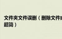 文件夹文件误删（删除文件或文件夹时出错原因及解决方法 超简）