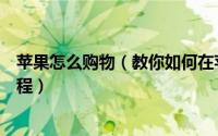 苹果怎么购物（教你如何在苹果中国官网购物指南的详细教程）