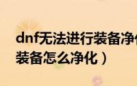 dnf无法进行装备净化（2019DNF未净化的装备怎么净化）