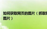 如何获取网页的图片（抓取网页指定内容 资料获取网页里的图片）