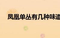 凤凰单丛有几种味道（凤凰单丛有几种）