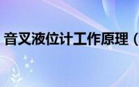 音叉液位计工作原理（音叉液位计如何安装）