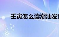 壬寅怎么读潮汕发音（壬寅怎么解释）