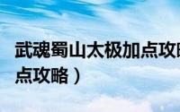 武魂蜀山太极加点攻略大全（武魂蜀山太极加点攻略）
