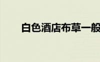 白色酒店布草一般通过什么方法增白