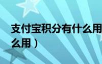 支付宝积分有什么用?（支付宝蚂蚁积分有什么用）