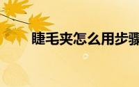 睫毛夹怎么用步骤（睫毛夹怎么用）