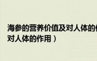 海参的营养价值及对人体的作用有哪些（海参的营养价值及对人体的作用）
