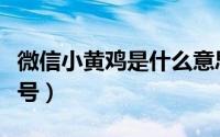 微信小黄鸡是什么意思（怎么添加小黄鸡微信号）