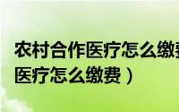 农村合作医疗怎么缴费微信支付宝（农村合作医疗怎么缴费）