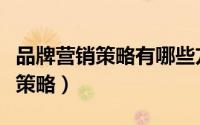 品牌营销策略有哪些方法（如何进行品牌营销策略）